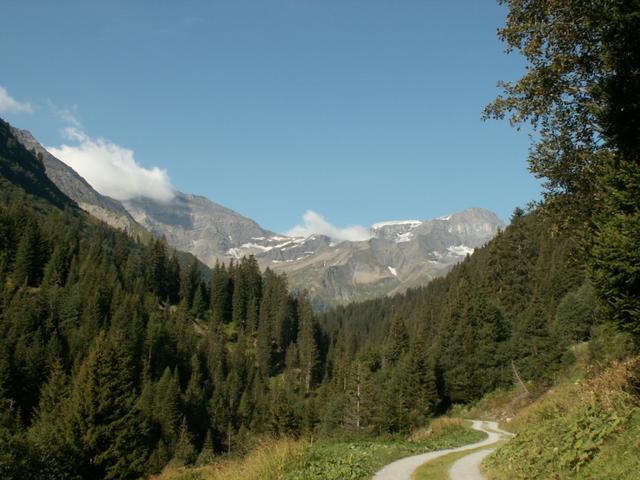 Blick zurück zur Sardonahütte, Trinserhorn und Piz Sardona