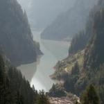 auf dem Weg zur dicksten Fichte sehen wir den Gigerwaldstausee