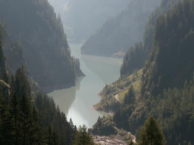 auf dem Weg zur dicksten Fichte sehen wir den Gigerwaldstausee