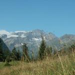 im Hintergrund der Sardonagletscher