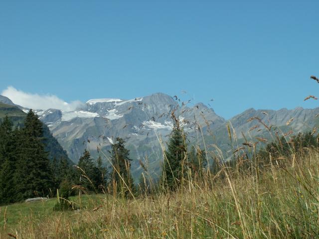 im Hintergrund der Sardonagletscher