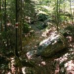 rechts von der Staumauer, geht es über einen Wald runter Richtung Vättis