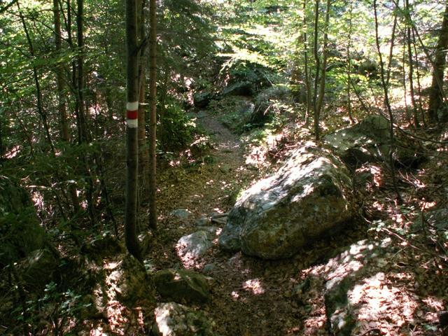 rechts von der Staumauer, geht es über einen Wald runter Richtung Vättis