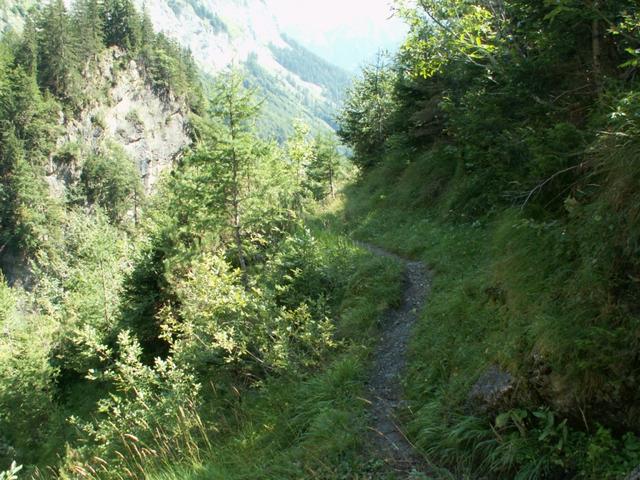 ein schöner Waldweg, entlang der Tamina