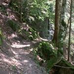 hier ist der Wald sehr schön.