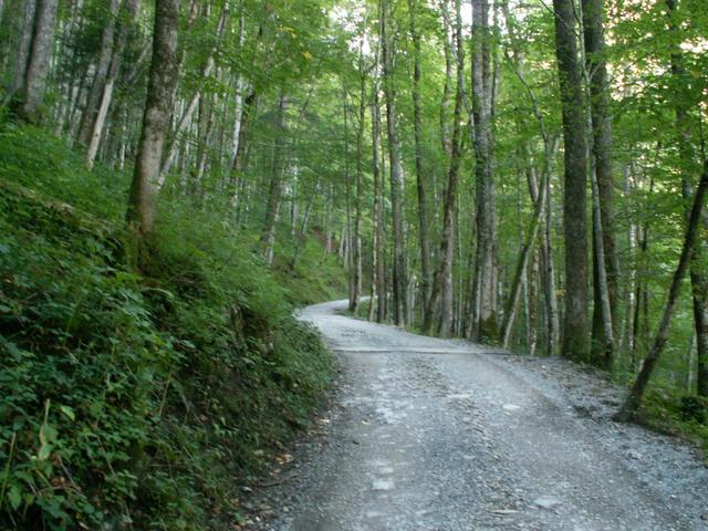 im Stutzwald geht es aufwärts Richtung Glärnischhütte