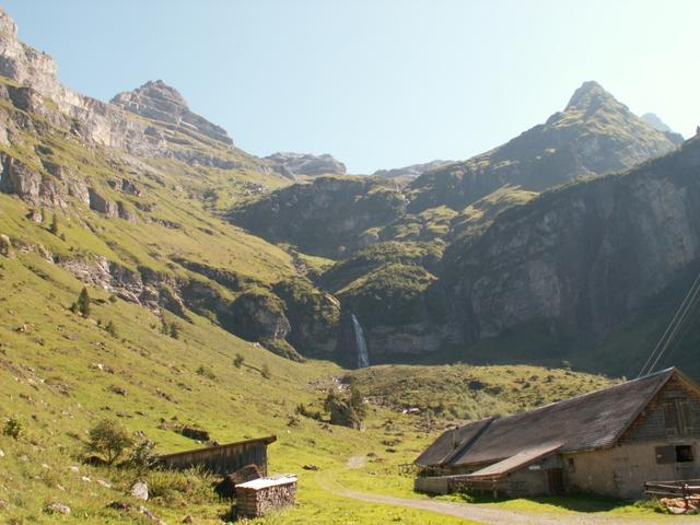 auf Alp Wärben 1385 m.ü.M.