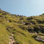 bei Spitzplanggen mit Blick zur Glärnischhütte