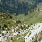 Blick runter zur Alp Wärben