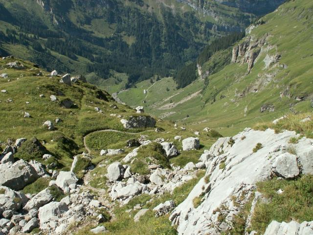 Blick runter zur Alp Wärben