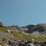 noch über eine Stunde müsste man laufen bis zum Gletscher