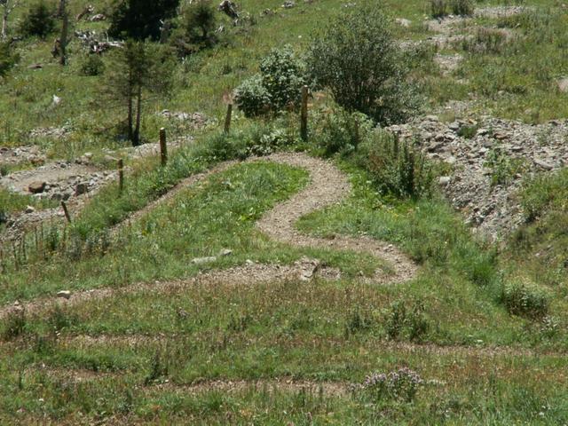 der Bergweg als Herzform