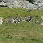 die kleine Felsstufe bei Grieseren, die mit Ketten gesichert ist