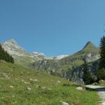 Blick von der Alp Wärben Richtung Glärnischütte