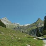 Blick von der Alp Wärben Richtung Glärnischütte