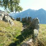 jetzt beginnt ein schöner Höhenweg