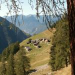 Blick zurück nach Monda