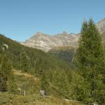 oben auf der Grasskuppe sieht man zum ersten mal die Capanna Quarnei