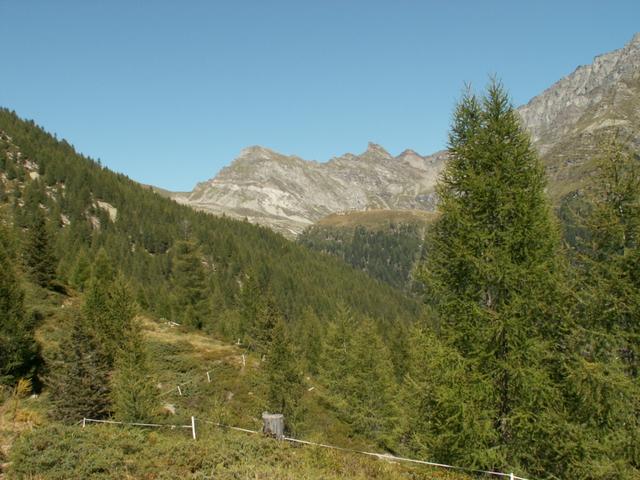 oben auf der Grasskuppe sieht man zum ersten mal die Capanna Quarnei