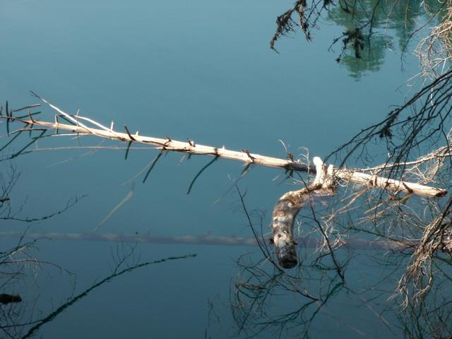 das Wasser ist hier Stalblau und klar