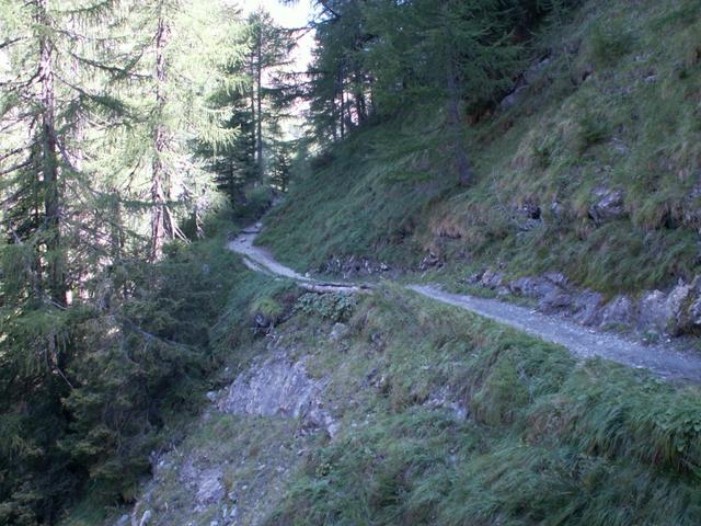 der Weg führt alles dem See entlang