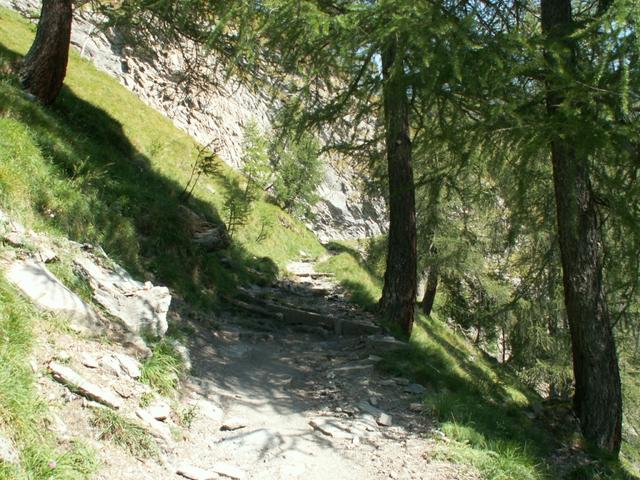 breiter Wanderweg Richtung Capanna Motterascio