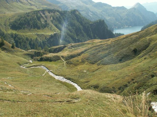 Blick auf Alp Trachee