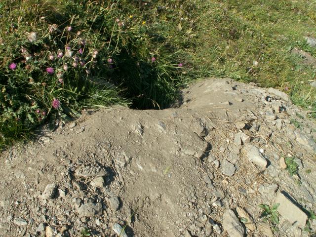 Eingang einer Murmeltier Höhle