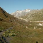 auf dem Weg Richtung Passo della Greina/Pass Grap