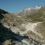 überall Zuckerdolomit