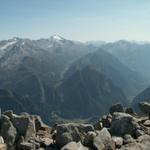 Blick ins Val di Carassino im Hintergrund der Rheinwaldhorn