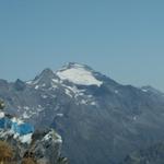 Blick zum Rheinwaldhorn