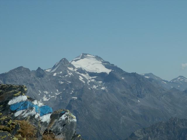 Blick zum Rheinwaldhorn