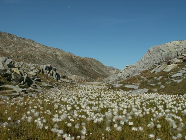 auf dem Pass Cristallina 2352 m.ü.M.