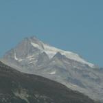 der Oberalpstock