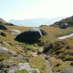 das Gebiet beim Passo di Gana Negra ist übersät mit schwarze Felsbrocken