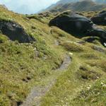 viele kleine Pfade führen um die Felsbrocken herum