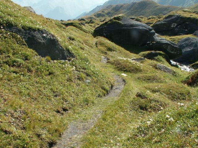 viele kleine Pfade führen um die Felsbrocken herum