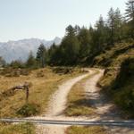 der Weg führt uns ein Zeitlang über eine Alpstrasse