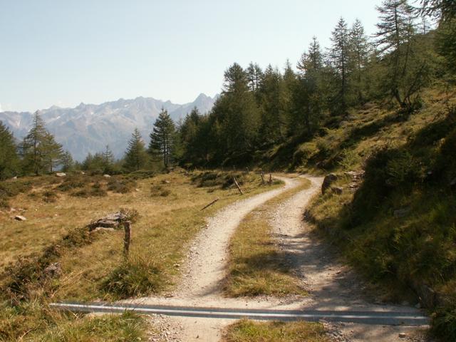der Weg führt uns ein Zeitlang über eine Alpstrasse