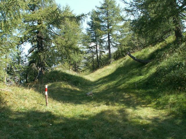 wir haben den Passo di Cantonill 1937 m.ü.M. erreicht