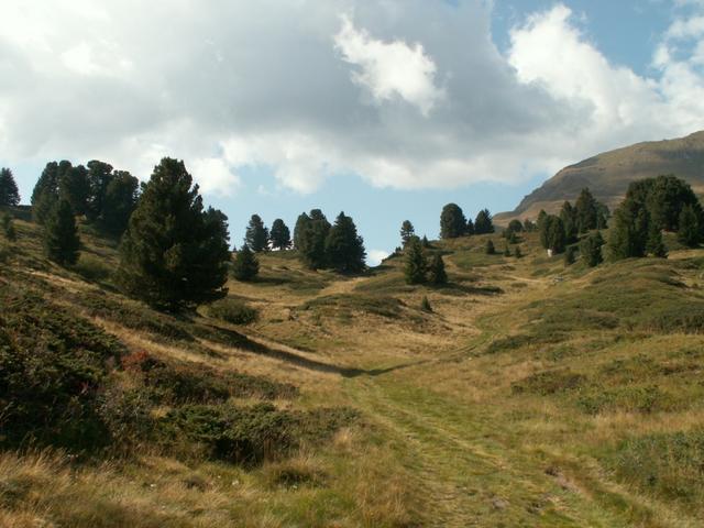 die Gegend um Dötra ist eine Important Bird Area in der Schweiz