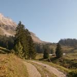 bei den Alphütten Chängel 1466 m.ü.M.