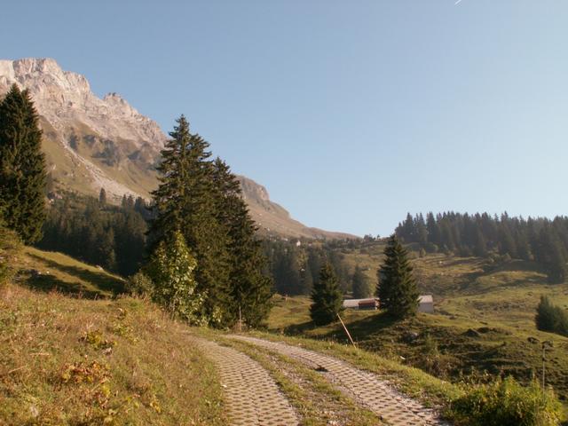 bei den Alphütten Chängel 1466 m.ü.M.