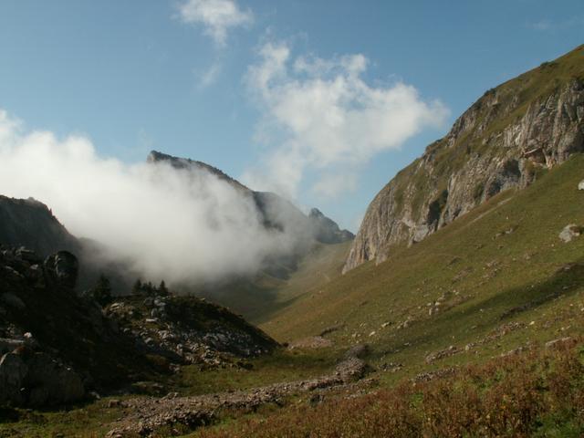 Blick zurück