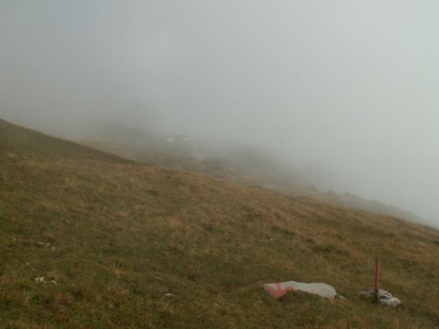 in dichtem Nebel führt uns der Weg runter nach Netstal