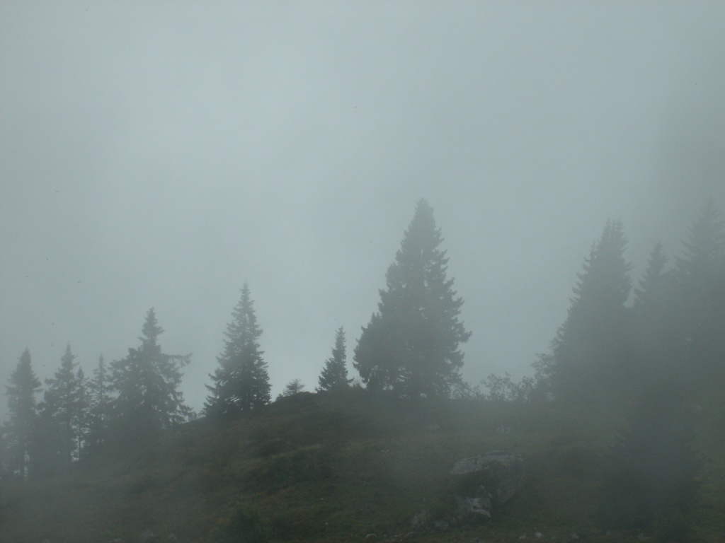 im dichten Nebel laufen wir weiter abwärts. Bei ober Stafel 1706 m.ü.M.