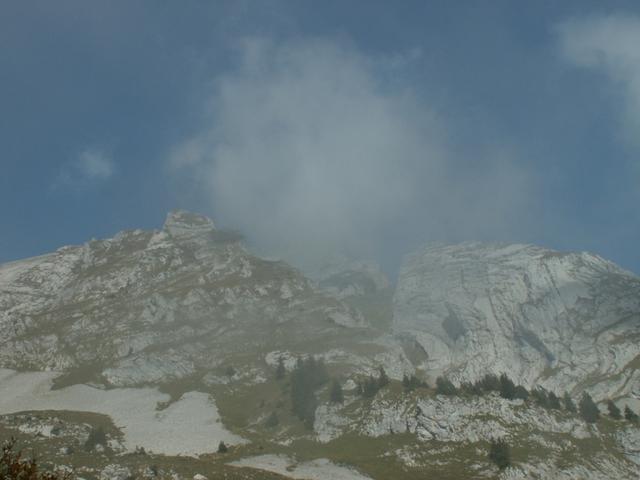 kurzer Blick aufwärts Richtung Wiggis