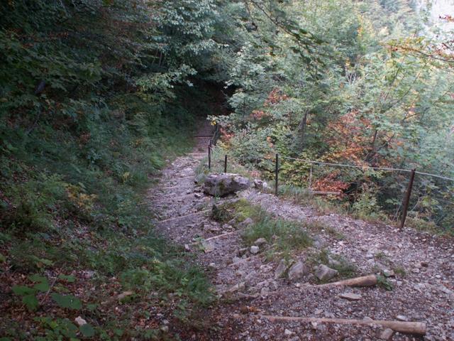 geht es nun steil abwärts nach Netstal