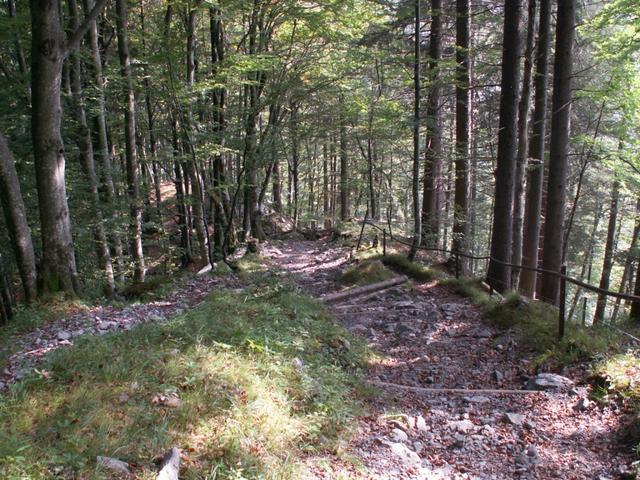 uuhh steil führt der Weg